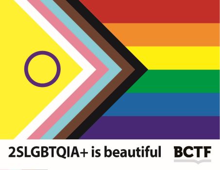 2SLGBTQIA+ is Beautiful Flag Poster